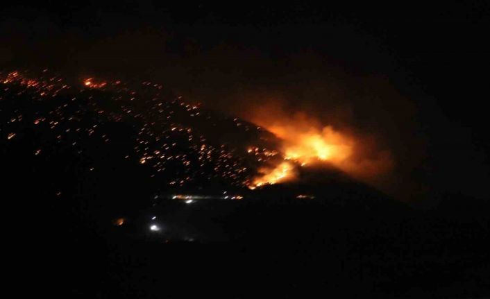 Denizli’de orman yangınına gece karadan müdahale sürüyor