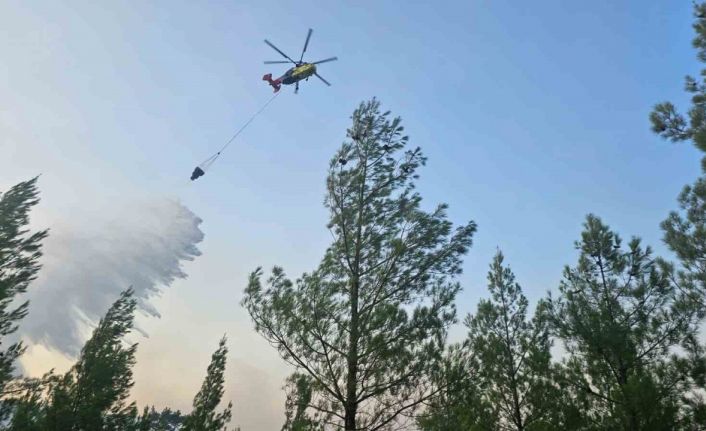Denizli’de sarp bölgede çıkan orman yangını kontrol altına alındı