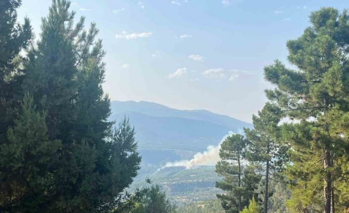 Denizli’de sarp bölgede devam eden yangına müdahale ediliyor