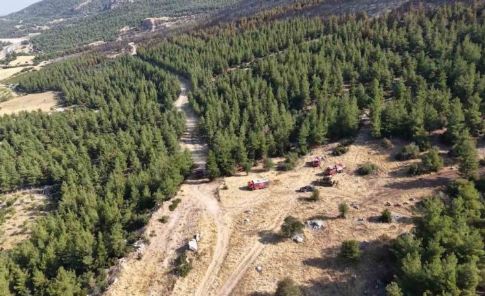 Denizli’de yanan orman sahası havadan görüntülendi