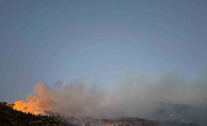 Denizli’deki orman yangını kontrol altına alındı