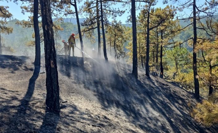 Denizli’deki orman yangınında 165 hektar alan kül olmaktan kurtarıldı