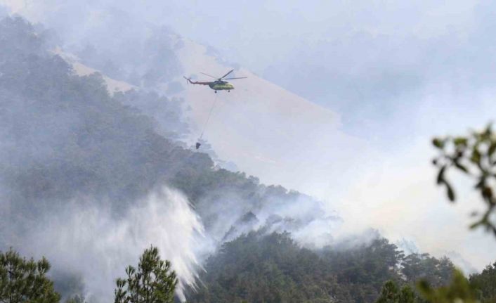 Denizli’deki orman yangınında soğutma çalışmaları devam ediyor