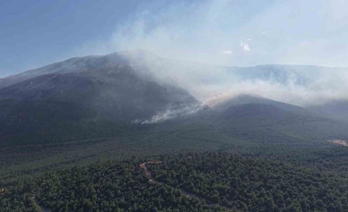 Denizli’deki yangın bölgesinde soğutma çalışmaları devam ediyor