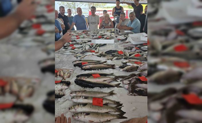 Didim’de ilk balık mezatı gerçekleştirildi