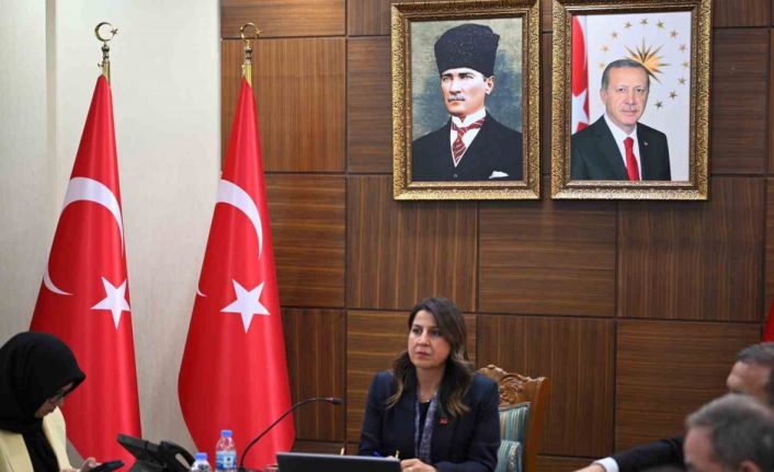 Diyarbakır’da, kadın hizmetleri bölgesel istişare toplantısı yapıldı