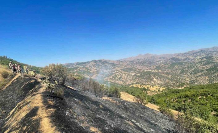 Diyarbakır’da üç farklı noktada çıkan yangınlar kontrol altına alındı