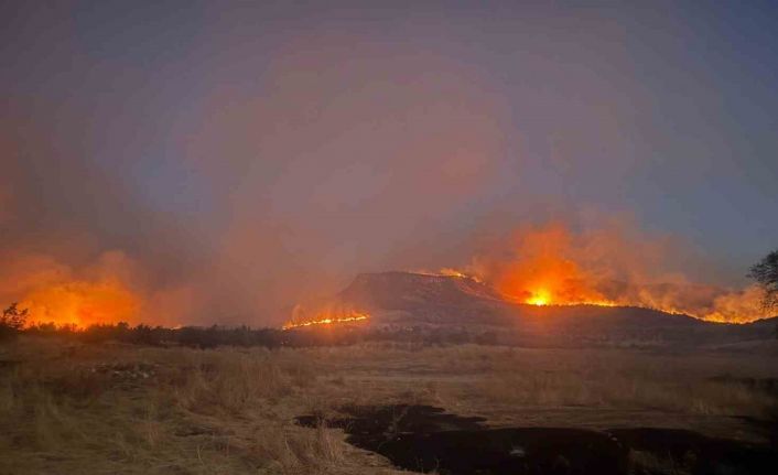 Diyarbakır’ın 3 ilçesinde etkili olan yangına müdahale devam ediyor