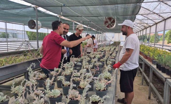 Doğal afetlere akıllı sera ile çözüm