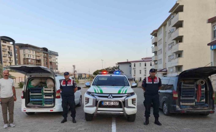 Doğubayazıt’ta kaçak kurbağa avcılığına jandarma operasyonu