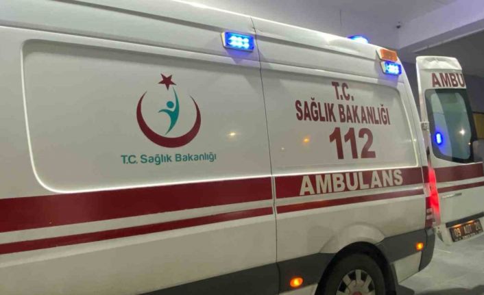 Domuz sanıp ateş etti, komşusunu vurdu