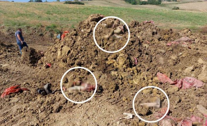 Drenaj çalışmasında bulunan insan ayakları polisi alarma geçirdi