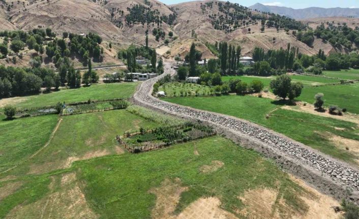 DSİ Genel Müdürü Balta: "Bitlis taşkına karşı güçleniyor"