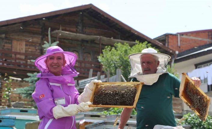 Dünyaca ünlü Anzer balında referans kovanlarında sağım gerçekleşti