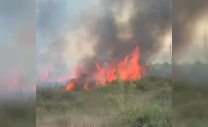 Düzce’de yol kenarındaki yangın güçlükle söndürüldü