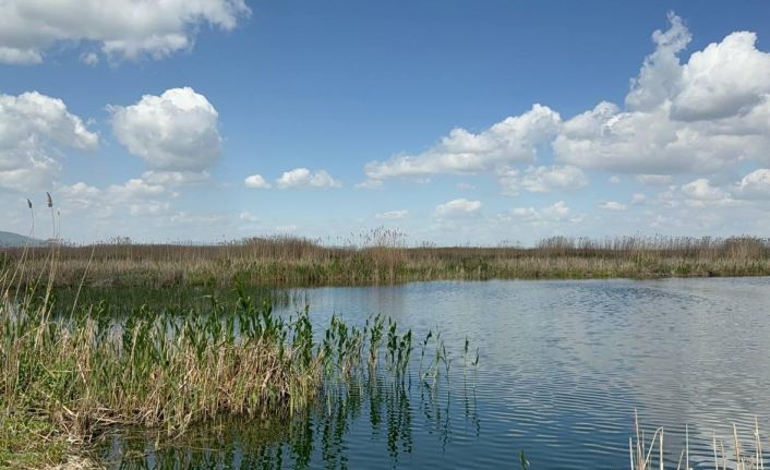 Eber Gölü’nde su seviyesi 5 santimetreye kadar düştü