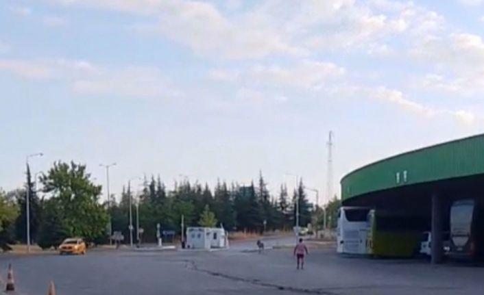 Edirne Otogarı’nda ilginç anlar: Eşek bu kez otobüs şoförünün yastığını çaldı