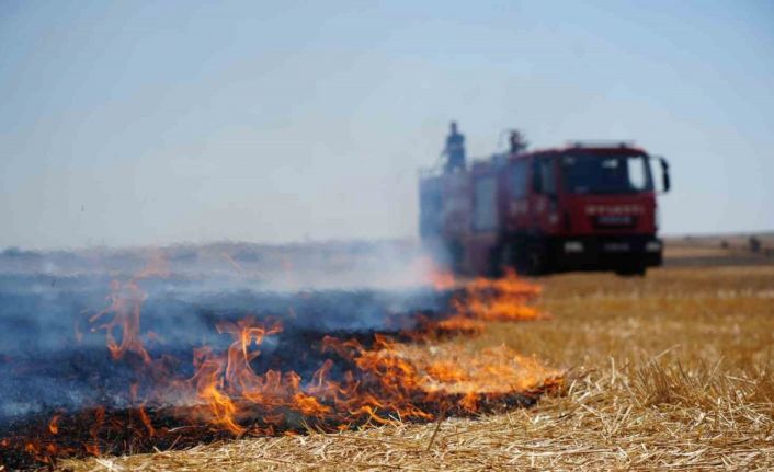 Edirne’de anız yangını