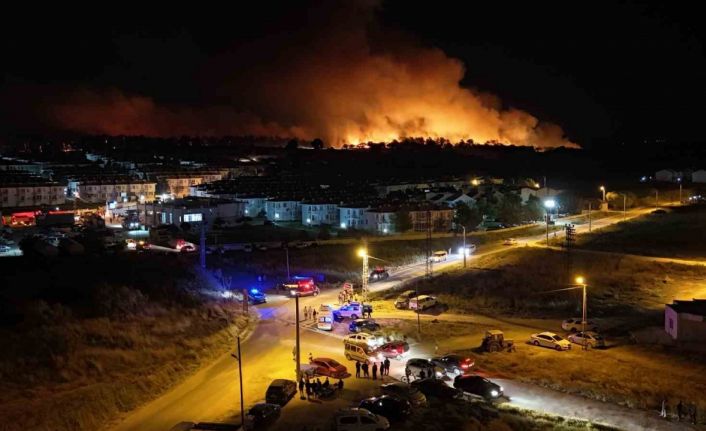 Edirne’de orman yangını: Alevlerin evlere sıçramasına ramak kaldı