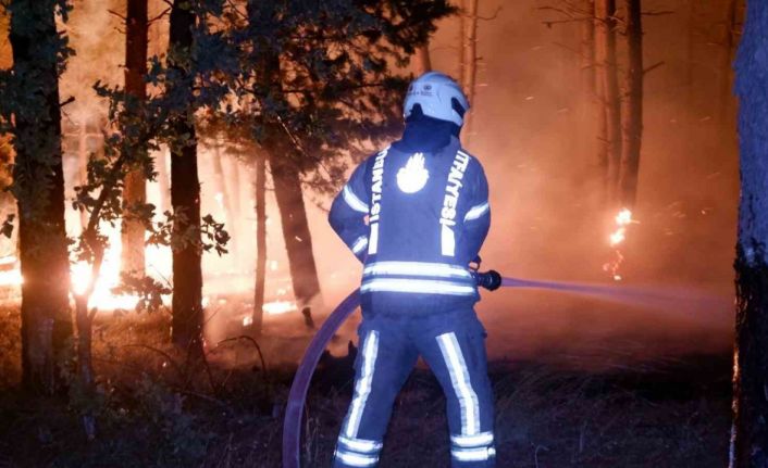 Edirne’de orman yangını: Köyler tahliye ediliyor