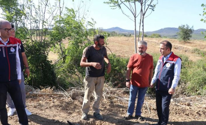 Edirne’de sera yatırımlarıyla tarımsal üretim kapasitesi artırılıyor