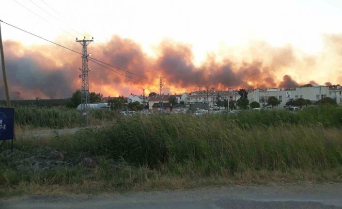 Edirne’de tarlada çıkan yangın ormanlık alana doğru ilerliyor