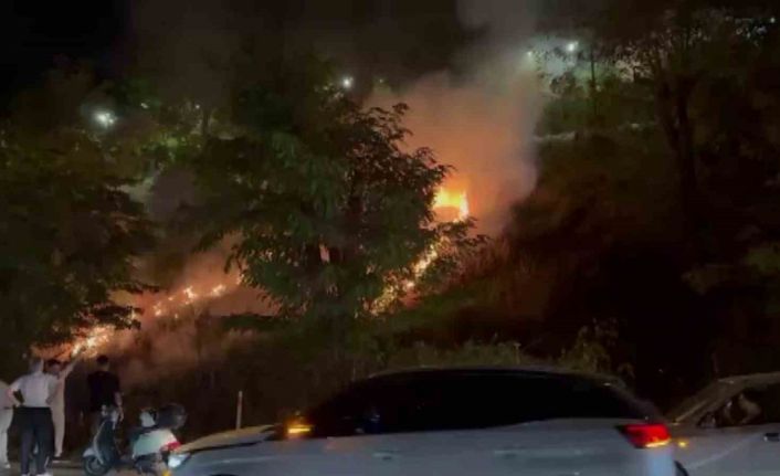 Eğlence için yakılan meşale yangın çıkardı