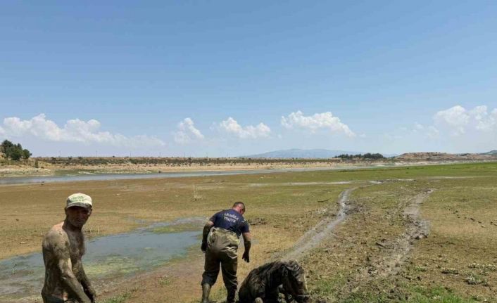Ekiplerin canhıraş mücadelesi takdir topladı