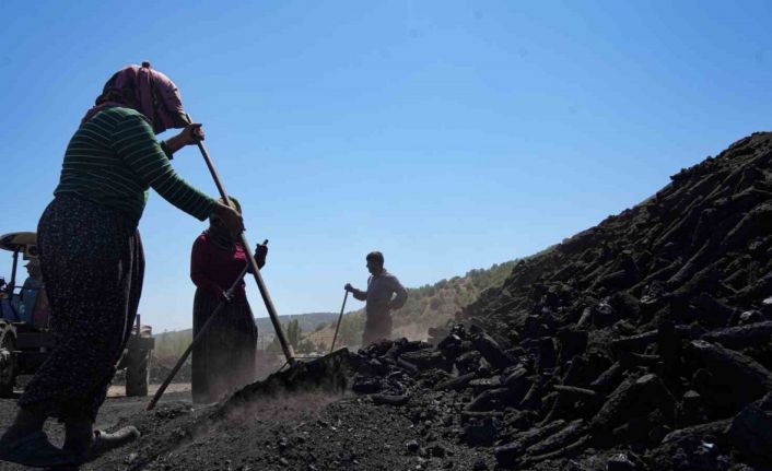 Ekmeğini kömürden çıkaranlar: Mevsimlik kömür işçileri