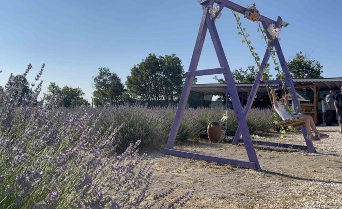 Ektiği lavantalar ile bahçesinde morun her tonunu barındırıyor