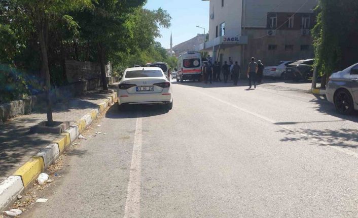 Elazığ’da nehre giren öğretmen boğuldu