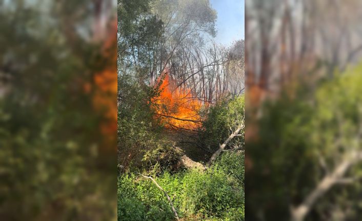Elazığ’da otluk alanda yangın