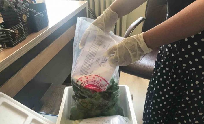 Elazığ’da pestisit denetimleri sürüyor