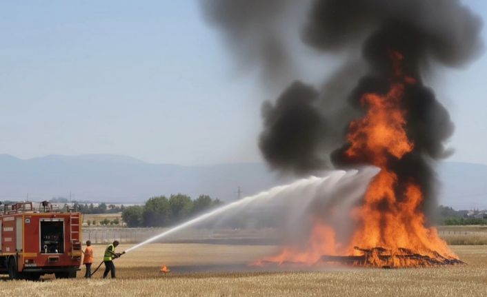 Elazığ’da tarla yangını