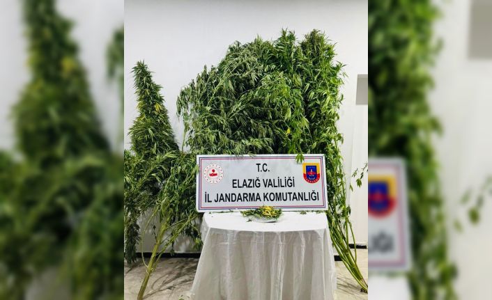 Elazığ’da uyuşturucuyla mücadele