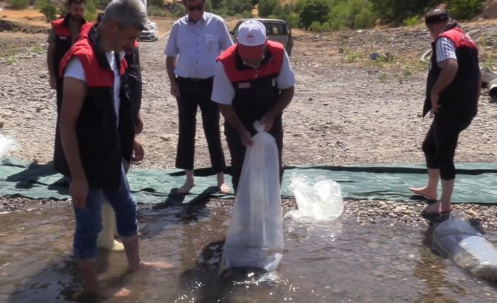 Elazığ’daki su kaynaklarına 5 milyon 786 bin yavru sazan bırakılacak