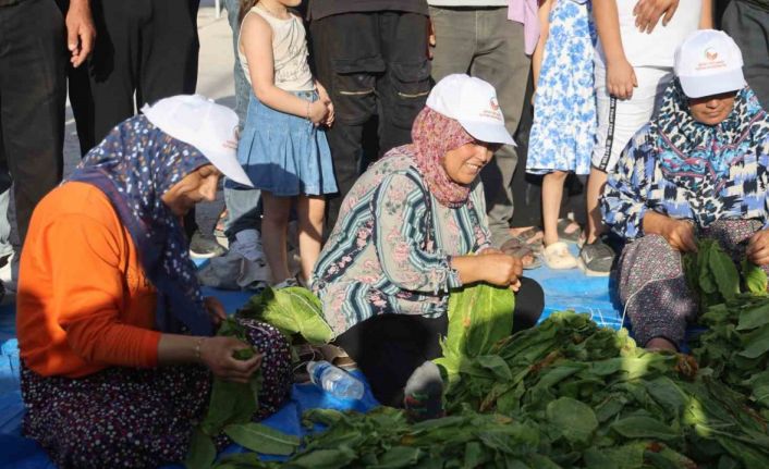 Ellerindeki iğnelerle ödülü alabilmek tütünleri dizmek için kıyasıya yarıştılar