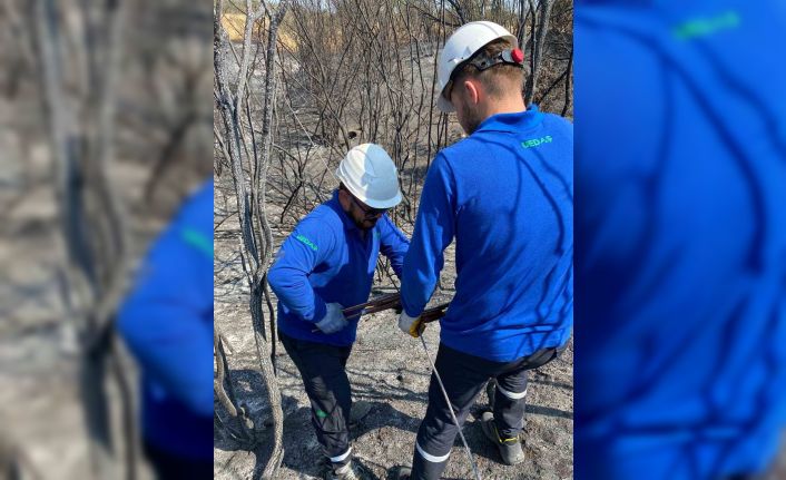 Enerji hatları yangının ardından yeniden onarılıyor