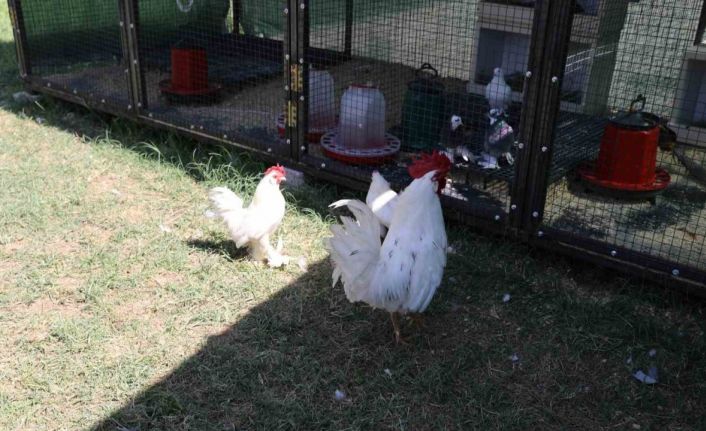 Engelsiz Yaşam Merkezi’nden yeni rehabilitasyon uygulaması