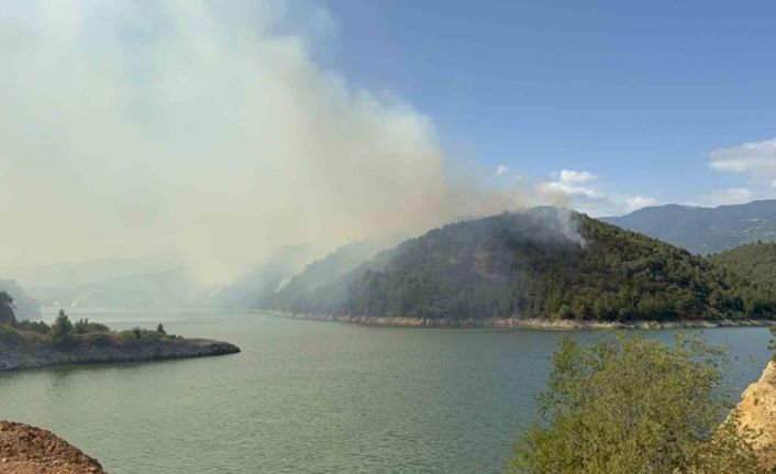 Erbaa’da orman yangını: 50 hektarlık alan kül oldu