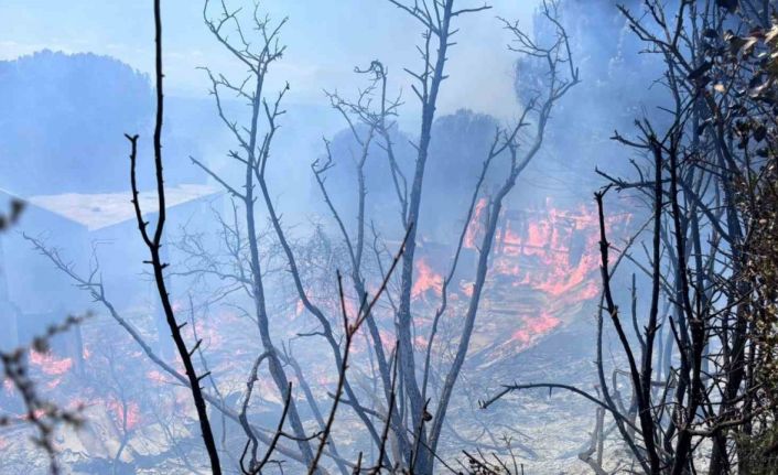 Erdek’te çıkan orman yangını kontrol altına alındı