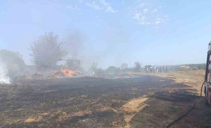 Erdek’te zeytinlik ve otluk alanda çıkan yangın söndürüldü