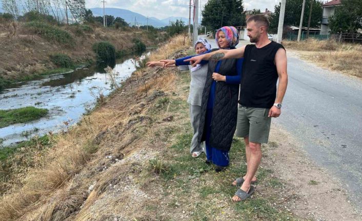 Erpiliç’in pisliği, hamile kadını hastanelik etti