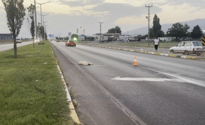 Erzincan-Erzurum kara yolunda duygulandıran görüntü