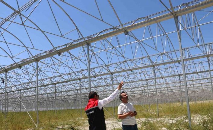 Erzincan’da jeotermal sera yatırımları devam ediyor