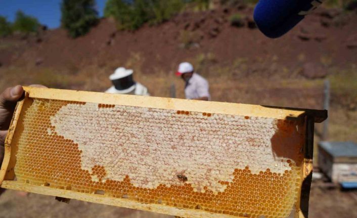 Erzincan’da kayıtlı arıcılık işletme sayısı bin 92
