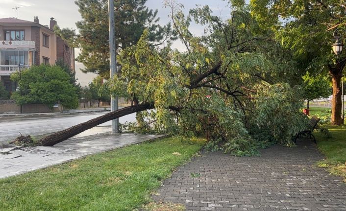Erzincan’da sağanak ve fırtına hayatı felç etti
