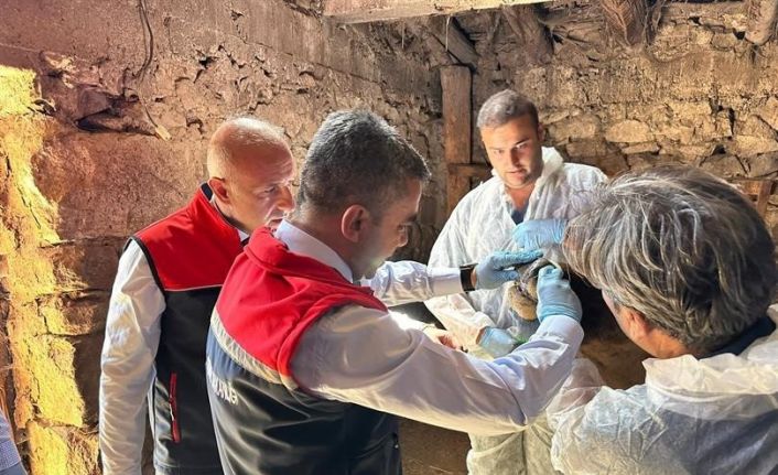 Erzurum’da hastalık takibi kararlılıkla devam ediyor