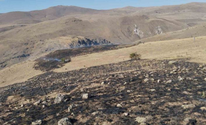 Erzurum’da korkutan ot yangını