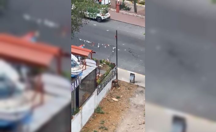 Esenyurt’ta bir kadın yoldan geçen araçlara taşla saldırdı